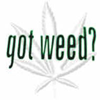 gotweed.jpg